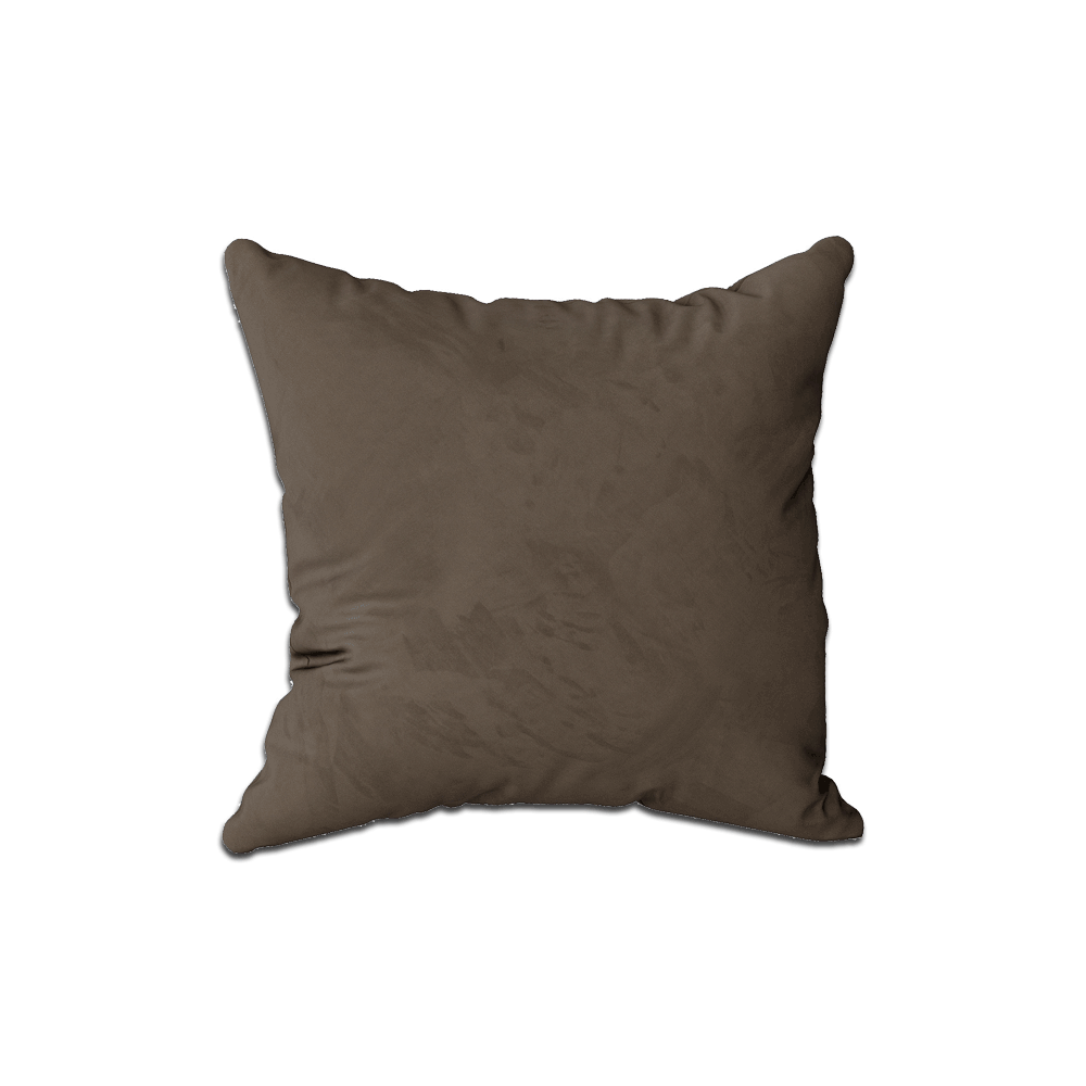 Coussin décoratif sur mesure en velours