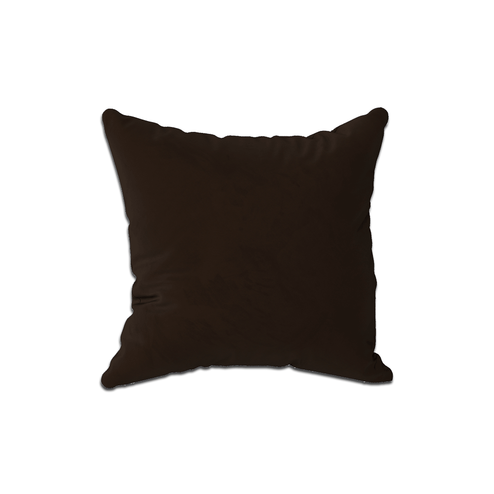 Coussin décoratif sur mesure en velours
