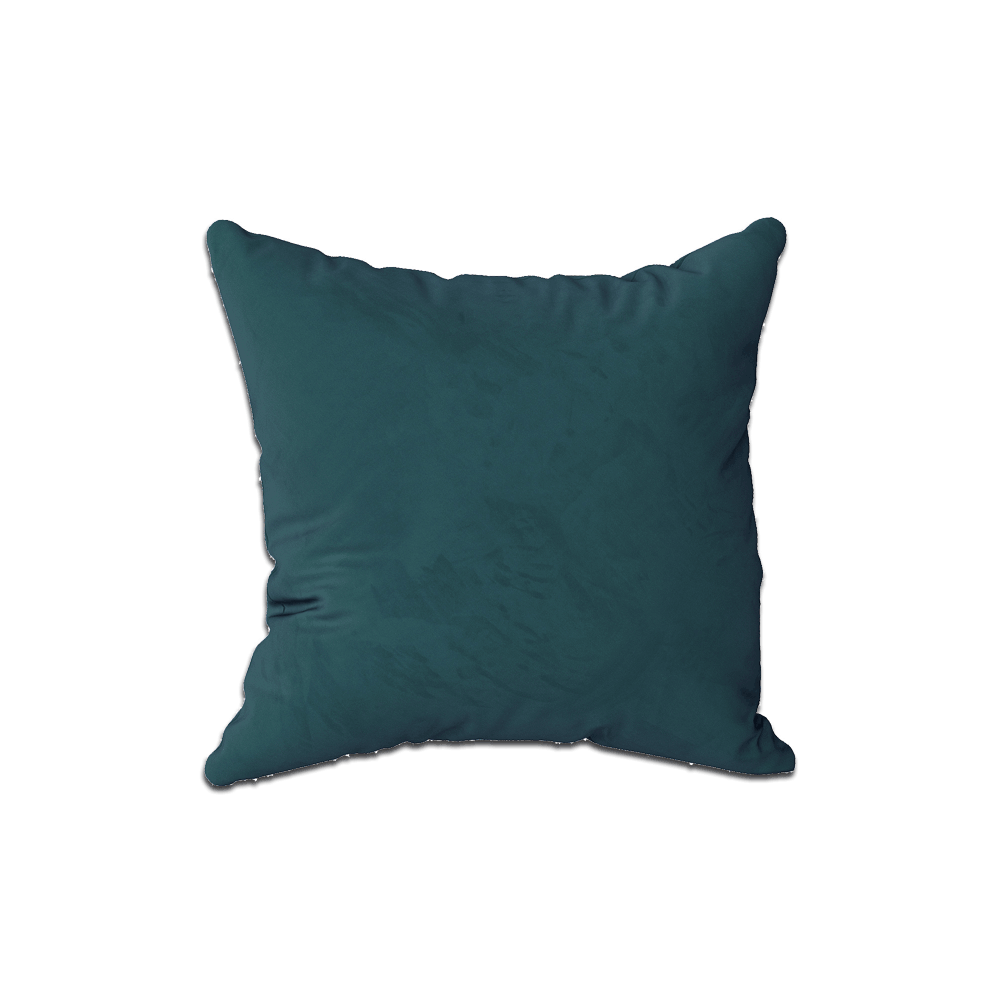 Coussin décoratif sur mesure en velours
