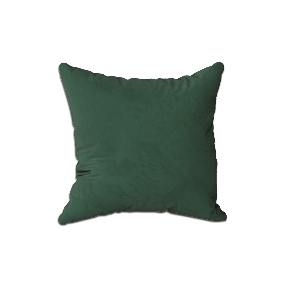 Coussin décoratif sur mesure en velours