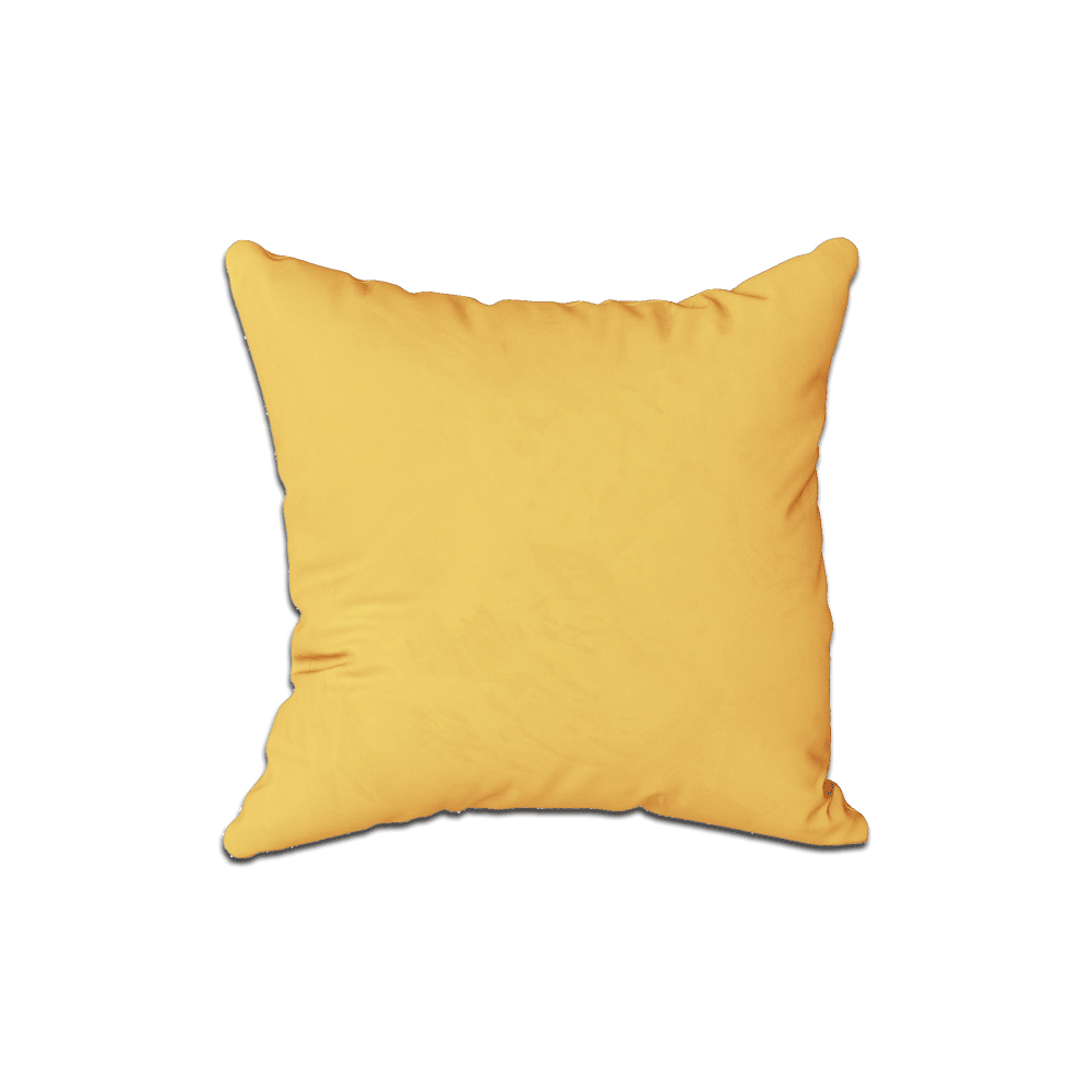 Coussin décoratif sur mesure en velours