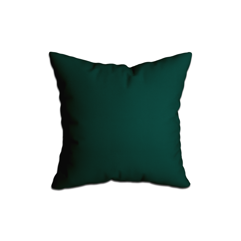 Coussins Décoratifs¨