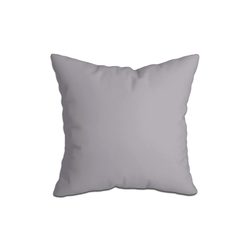 Coussins Décoratifs_