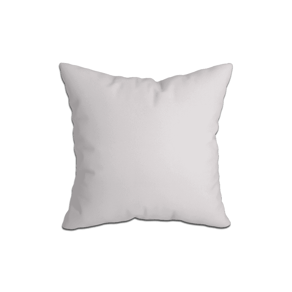 Coussins Décoratifs_