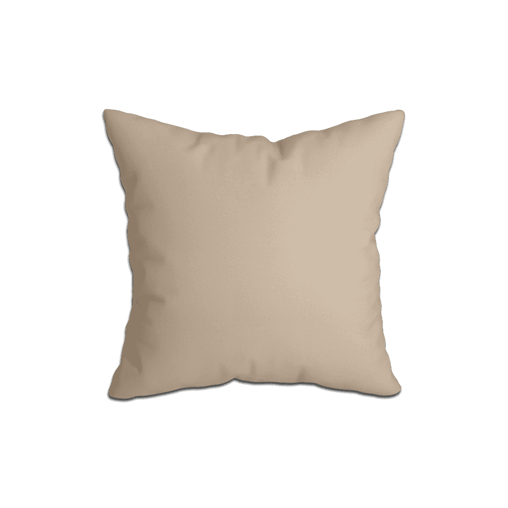 Coussins Décoratifs_
