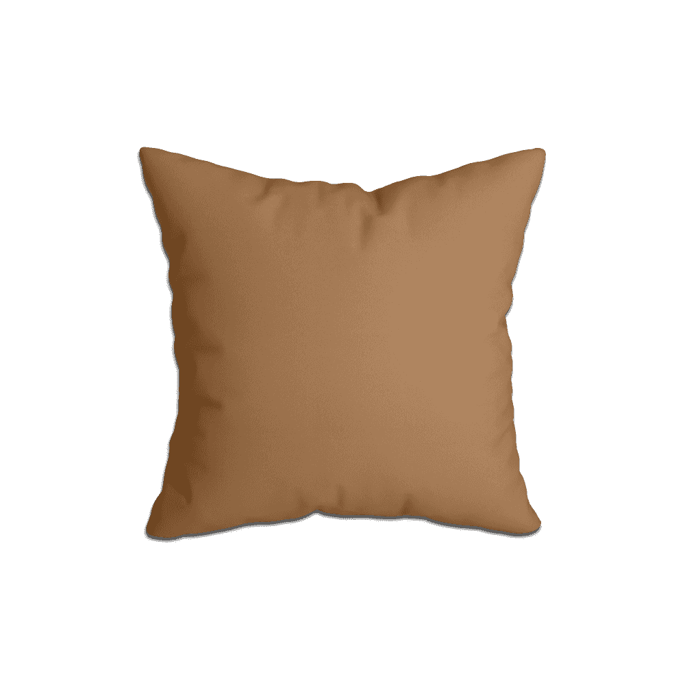 Coussins Décoratifs_