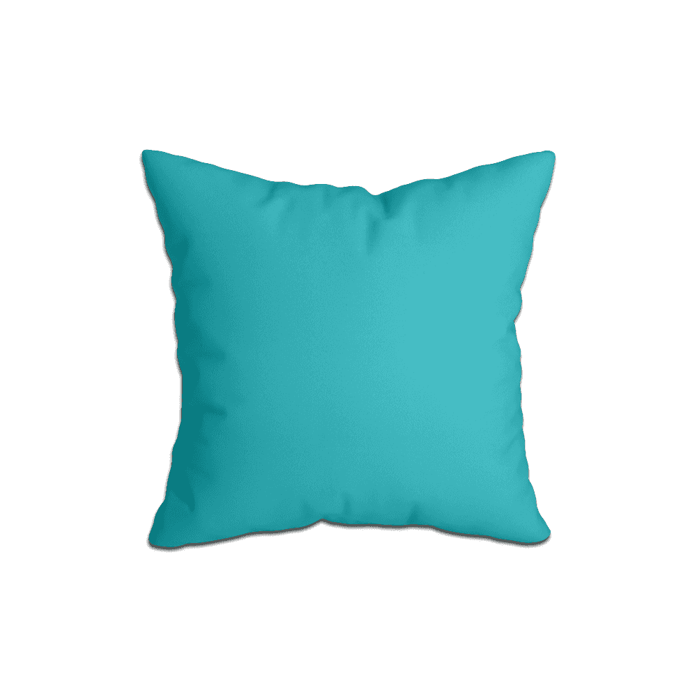 Coussins Décoratifs_