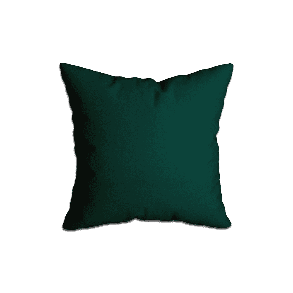 Coussins Décoratifs_