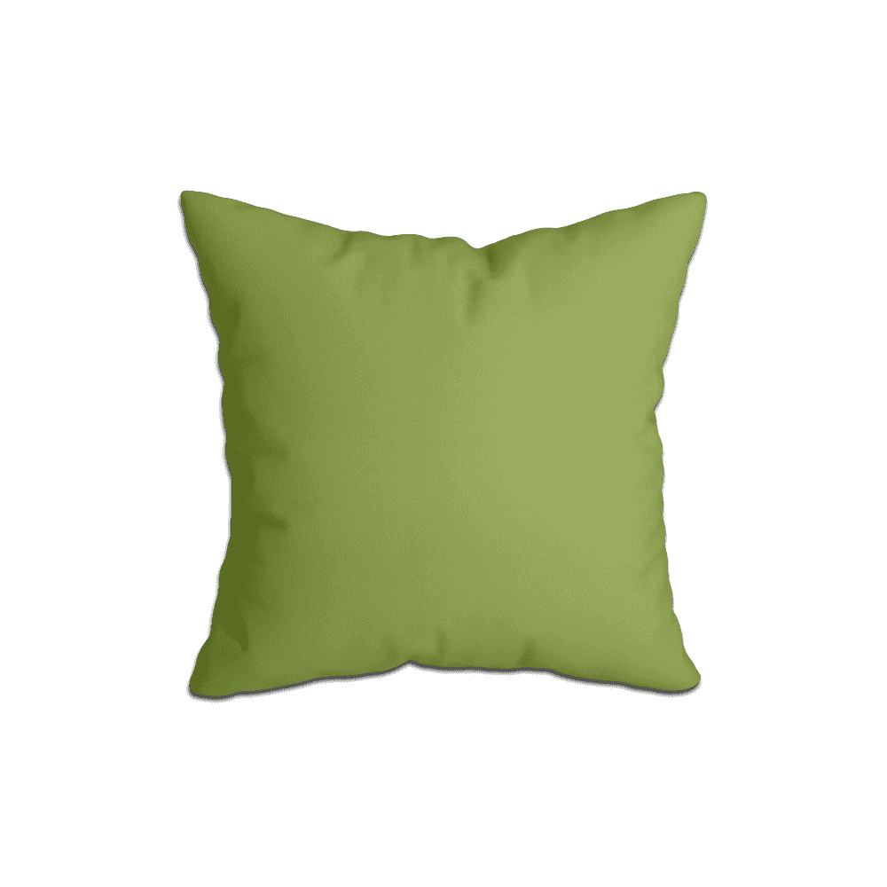 Coussins Décoratifs_