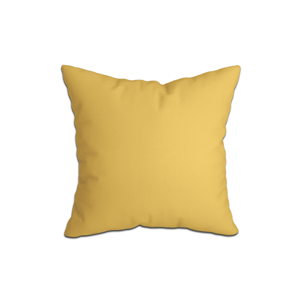 Coussins Décoratifs_