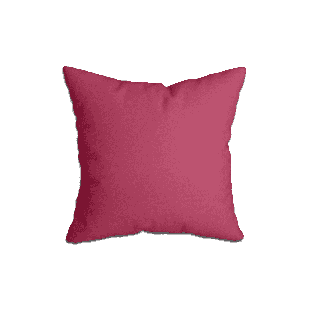 Coussins Décoratifs_