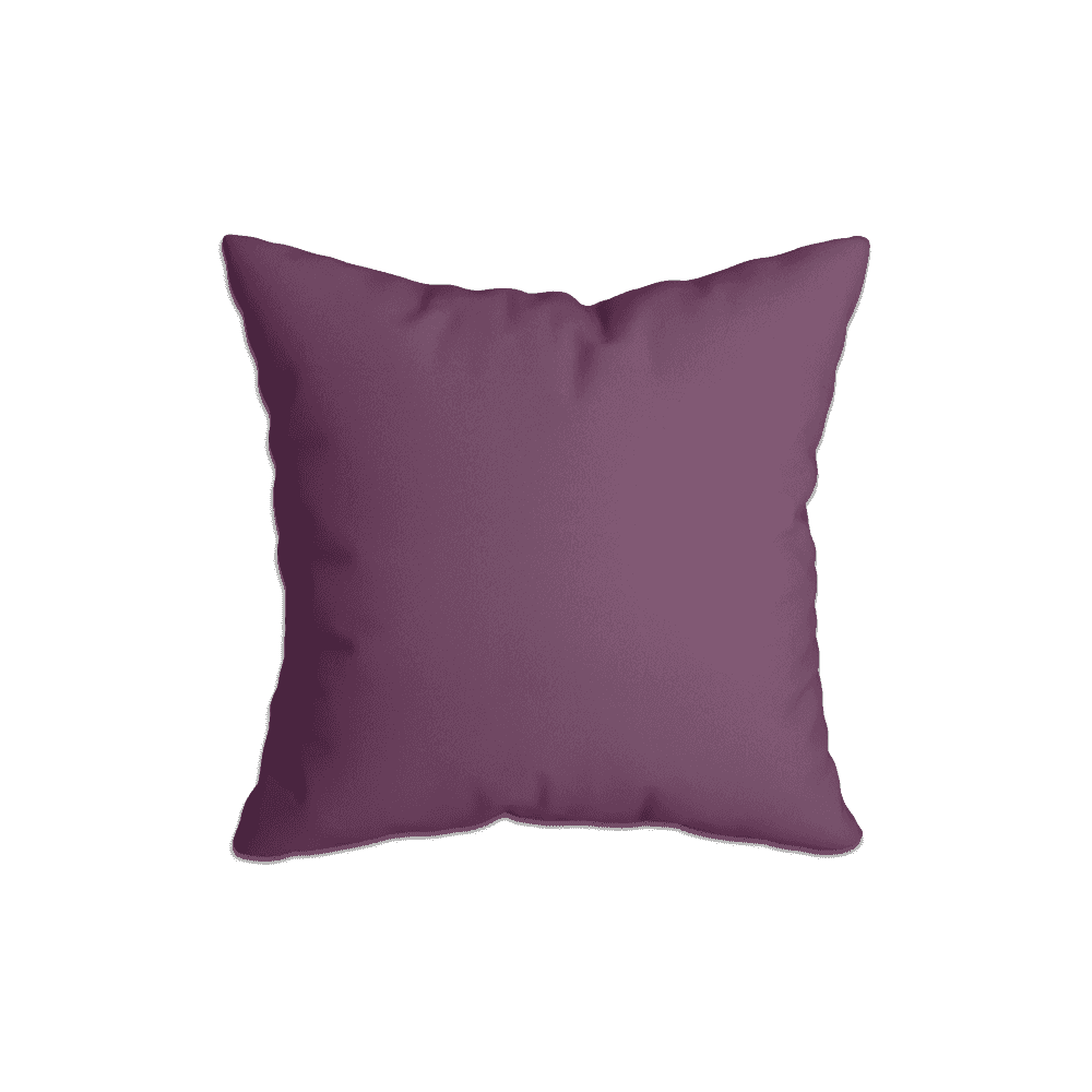 Coussins Décoratifs_