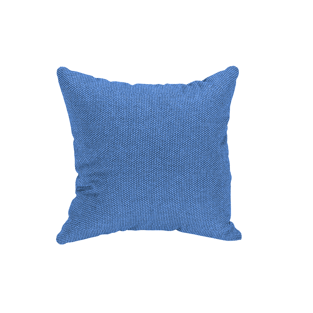 Coussins Décoratifs