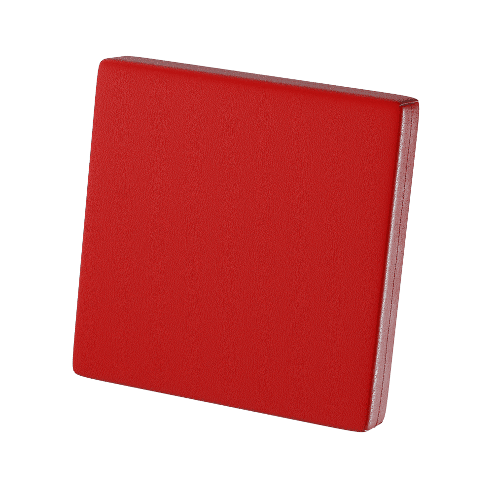 Coussin de dossier
