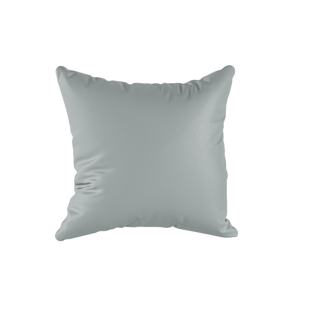 Coussins Décoratifs