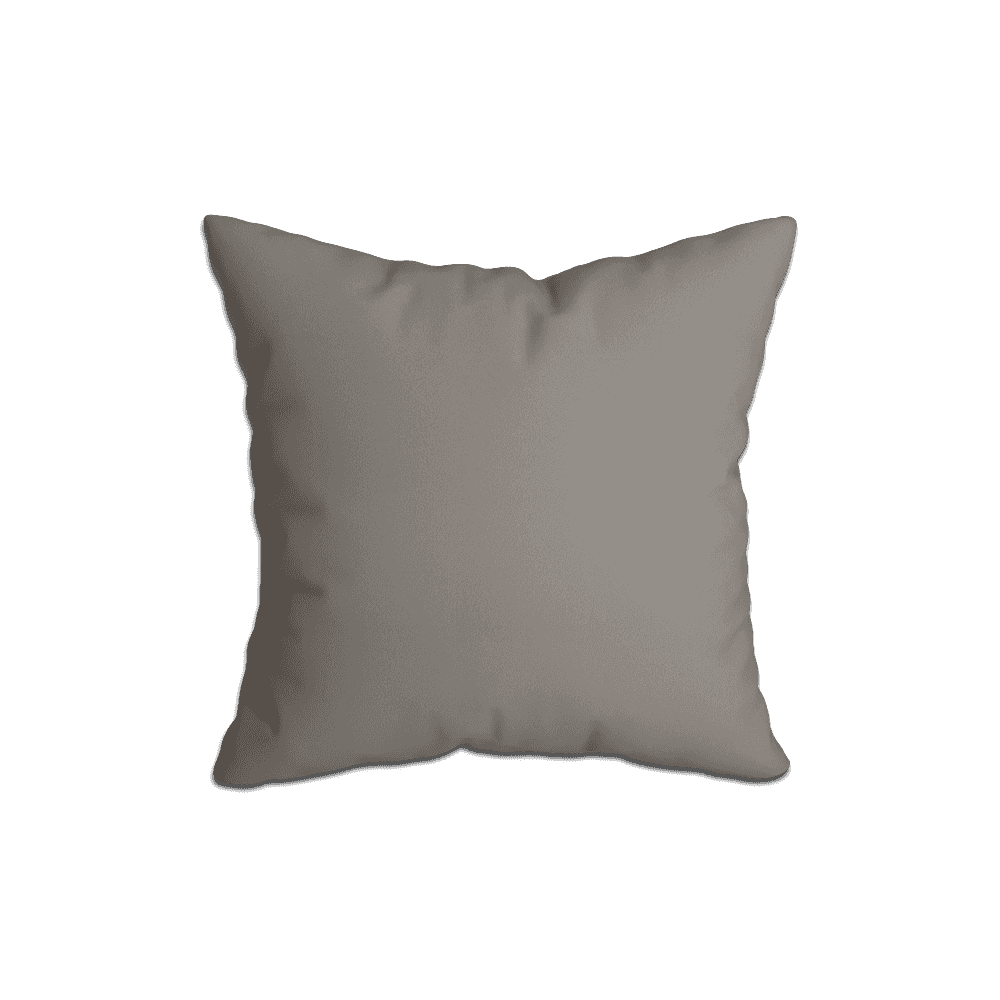 Coussins Décoratifs¨