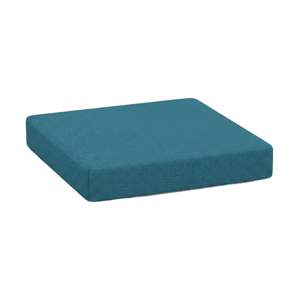 Coussin de siège.