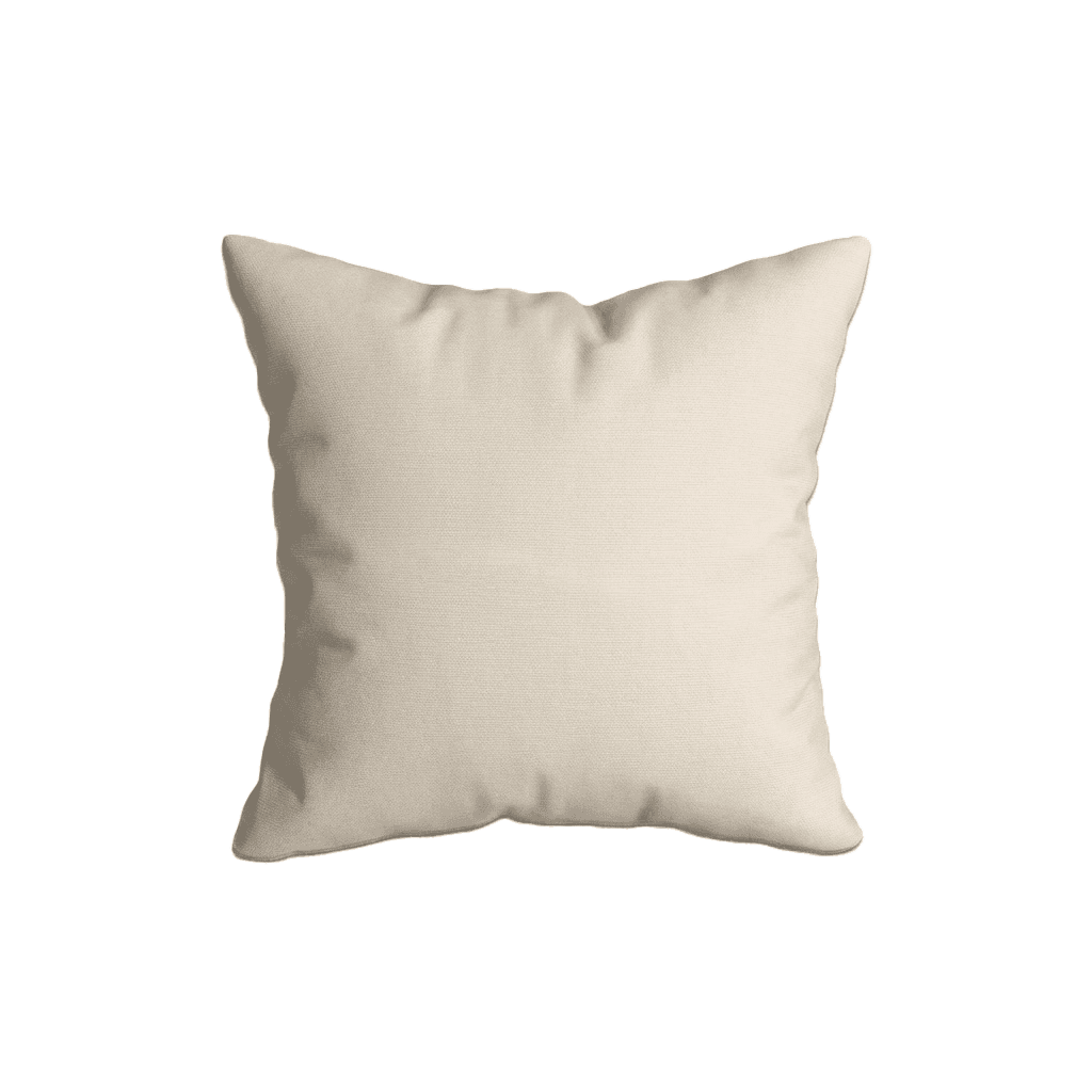 Coussins Décoratifs