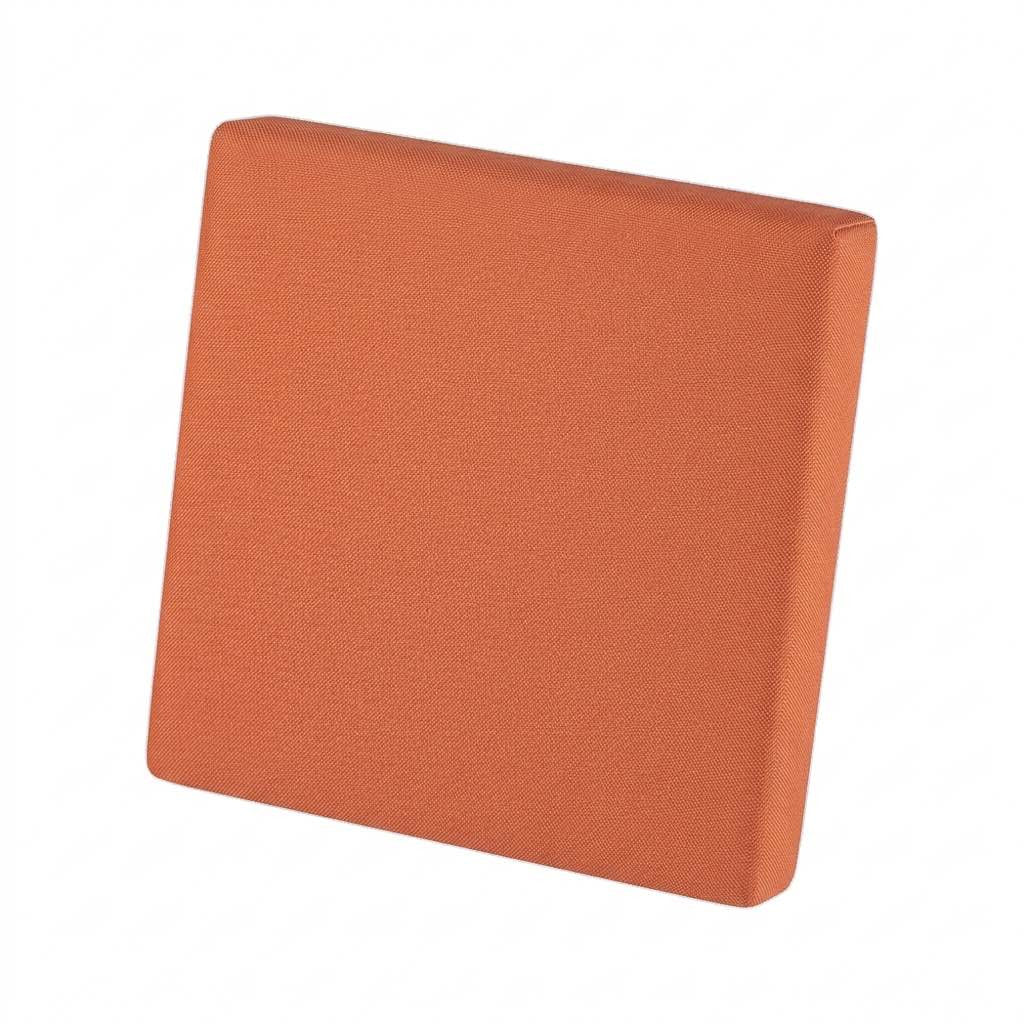 Coussin de dossier+